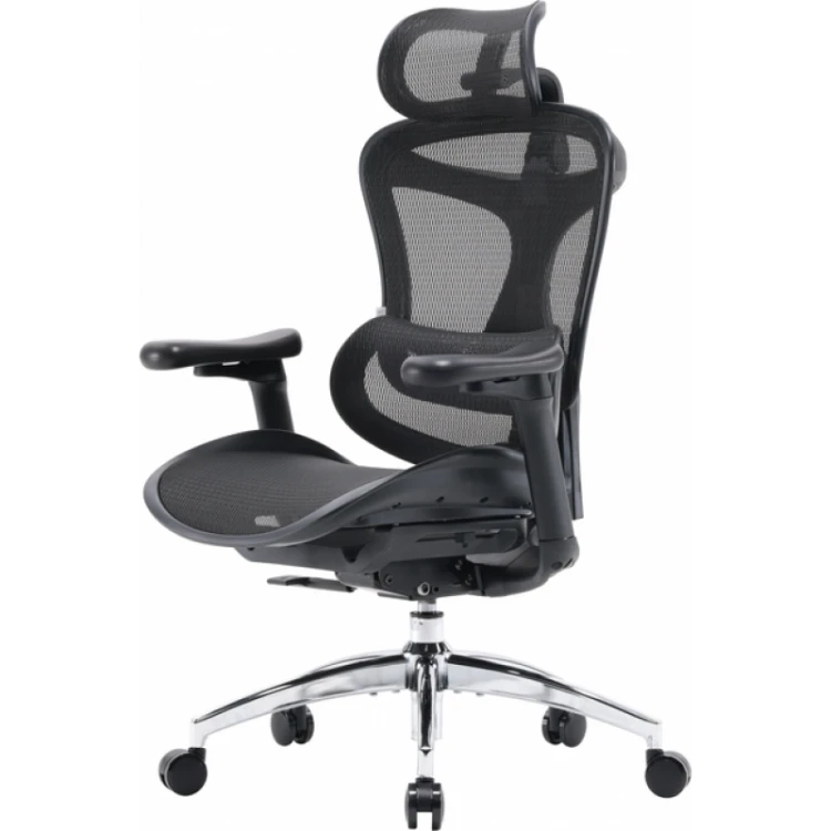 Fotel biurowy ergonomiczny Sihoo Doro C300L Mesh z podnóżkiem czarny