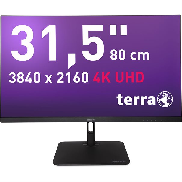 Monitor TERRA LCD/LED 3295W PV 31,5" 4K UHD IPS USB-C 90 W RJ-45 z regulacją wysokości
