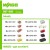 Wago Verbindungsklemmen Set L-BOXX® Mini Serien 221. 2273. 773. 224. 243