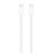 Apple USB-C Ladekabel 2M MU2G3ZM/A Retail
